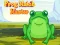 Jeu Frog Match Master en ligne