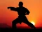 Jeu Karate Sunset Warriors en ligne