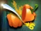 Jeu Veggie Slicer en ligne