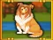 Jeu Bernese Mountain Dog Escape en ligne