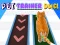 Jeu Pet Trainer Duel en ligne
