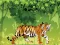 Jeu Angry Tiger Coloring en ligne