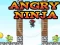 Jeu Angry Ninja en ligne