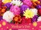 Jeu 2019 Mother's Day Puzzle en ligne