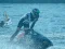 Jeu Power Boat Racing 3D en ligne