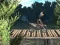 Jeu Bike Trial Xtreme Forest en ligne