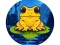 Jeu Frog Jumper en ligne