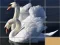 Jeu Animals Slide Puzzle en ligne