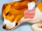Jeu Dog Hospital en ligne