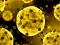 Jeu Coronavirus Slide en ligne