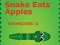 Jeu Snake Eats Apples en ligne