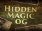 Jeu Hidden Magic OG en ligne