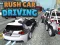 Jeu Rush Car Driving en ligne