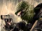 Jeu Terrorist Shootout en ligne
