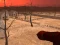 Jeu Wasteland Shooters en ligne