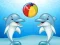 Jeu Dolphin Show en ligne