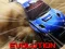 Jeu Nitro Rally Evolution en ligne