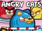 Jeu Angry Cats en ligne