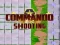 Jeu Commando Shooting en ligne