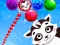 Jeu Raccoon Rescue en ligne