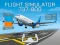 Jeu Flight Simulator 737-800 en ligne