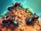 Jeu Ant Colony en ligne