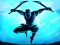 Jeu Shadow Ninja Revenge en ligne