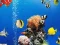 Jeu Sea Underwater Difference en ligne