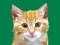 Jeu Idle Painter en ligne