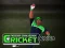 Jeu Cricket Fielder Challenge en ligne