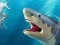 Jeu Shark Hunting en ligne