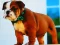 Jeu Bulldog Puppy Puzzle en ligne