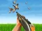 Jeu Bird Hunting en ligne