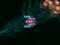 Jeu Asteroid Crush en ligne