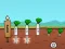 Jeu Radish en ligne