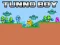 Jeu Tunno Boy en ligne