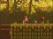 Jeu The Lost Forest en ligne