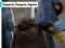 Jeu Emperor Penguin Jigsaw en ligne
