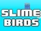 Jeu Slime Birds en ligne