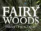 Jeu Fairy Woods Hidden Objects en ligne