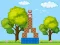 Jeu Box Challenge en ligne