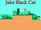 Jeu Jake Black Cat en ligne