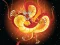 Jeu Chinese Dragons Coloring en ligne
