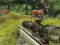 Jeu Stag Hunt en ligne