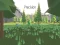 Jeu Precision en ligne
