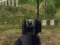 Jeu Army Shooter en ligne