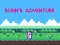 Jeu Bunn's Adventure en ligne