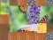 Jeu Wash if off en ligne
