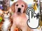Jeu Pets Clicker en ligne