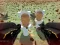 Jeu Shooting Survival Skibidi Toilet en ligne